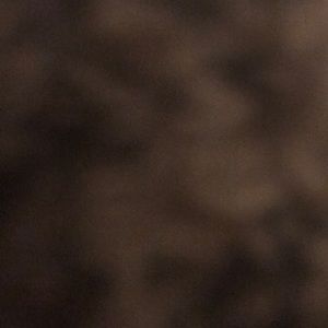 Meet your Posher, Devonta